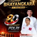 AndroVid_Pro_2528